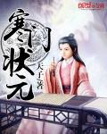 寒门状元笔趣