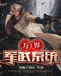 万界军火系统