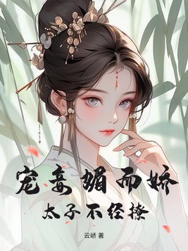 太子宠妾第二次