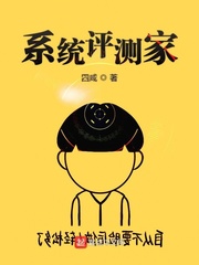 系统评测家 小说