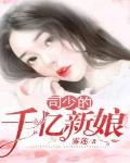 司少的闪婚宠妻