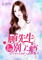 第一宠婚顾先生别上瘾第90章