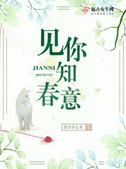 见你知春意最新章节免费阅读