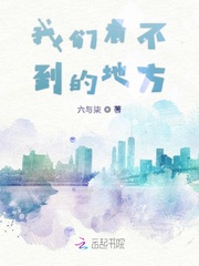我们看不到的地方小说免费阅读全文