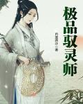极品灵气