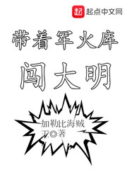 带着军火库到大明txt
